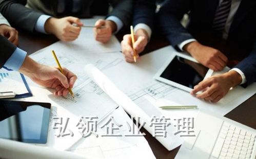 安徽弘領(lǐng)企業(yè)管理咨詢 賦能企業(yè)成長(zhǎng)的智慧伙伴